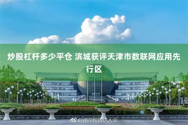 炒股杠杆多少平仓 滨城获评天津市数联网应用先行区