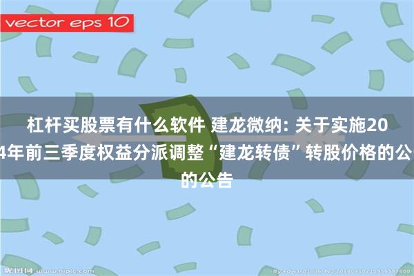 杠杆买股票有什么软件 建龙微纳: 关于实施2024年前三季度权益分派调整“建龙转债”转股价格的公告