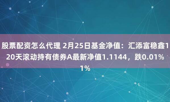 股票配资怎么代理 2月25日基金净值：汇添富稳鑫120天滚动持有债券A最新净值1.1144，跌0.01%